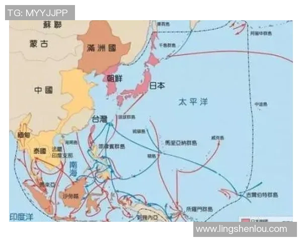 深入分析北京排球队防反战术的特点与应用策略
